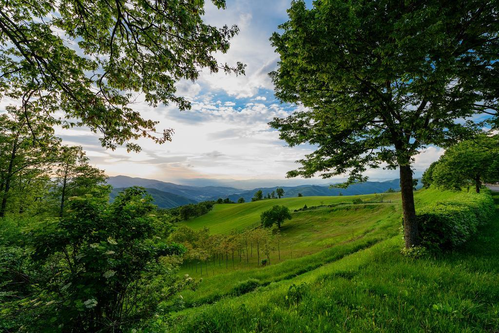 Agriturismo Casapasserini Londa 외부 사진