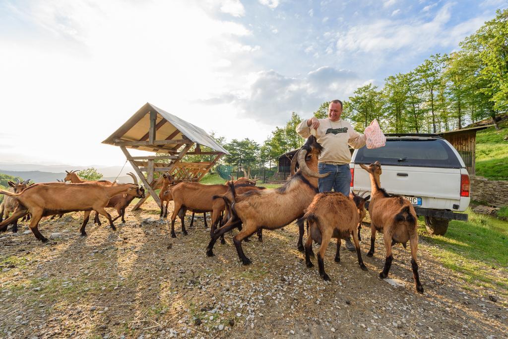 Agriturismo Casapasserini Londa 외부 사진