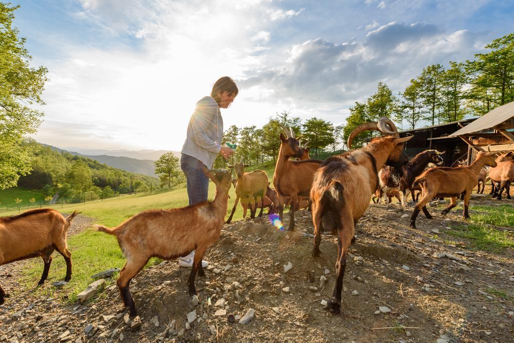 Agriturismo Casapasserini Londa 외부 사진