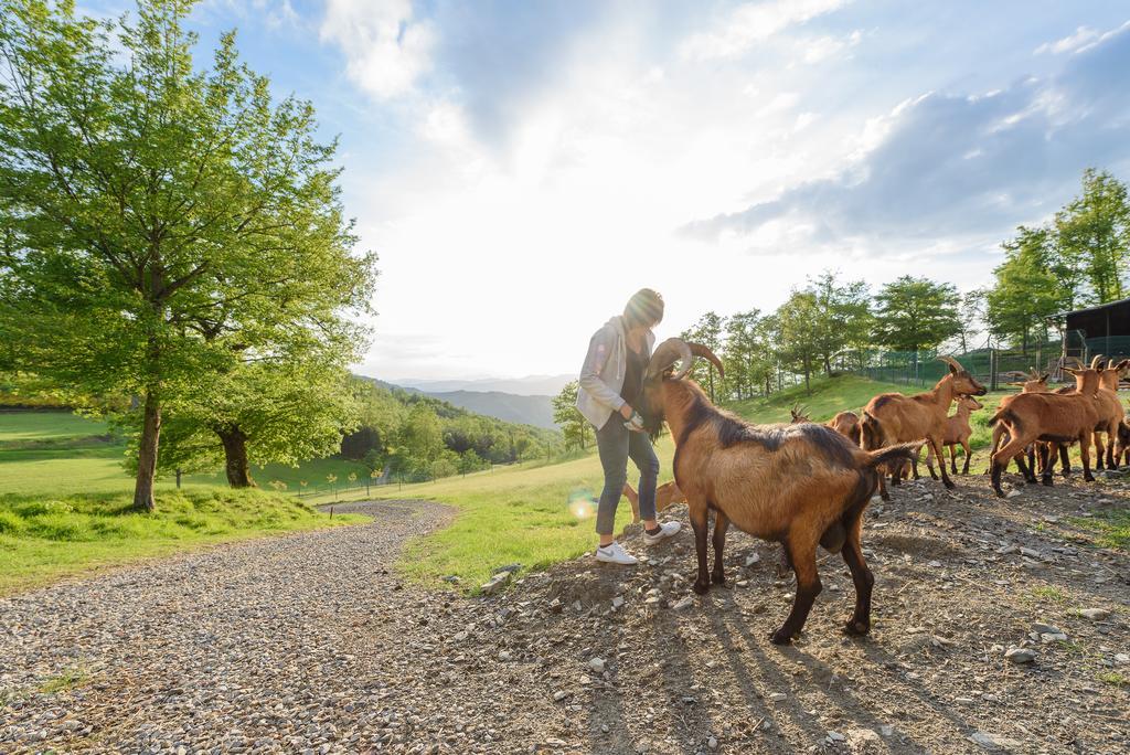 Agriturismo Casapasserini Londa 외부 사진